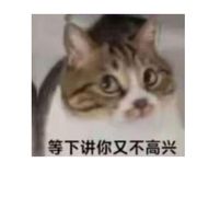 臭.猫👊🖐️