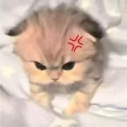 (^～^)