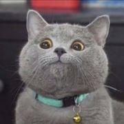 上课吗做实验吗交报告吗