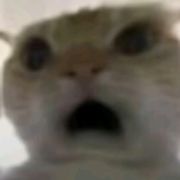 呜呼