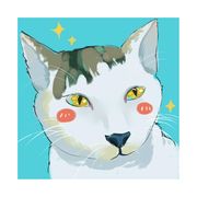 手机用户105267672