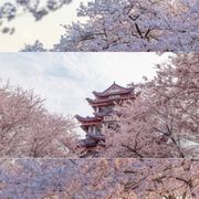 慕朝歌