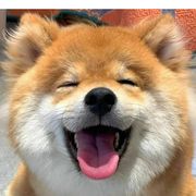 至死不渝