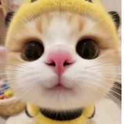 蛋仔派对。