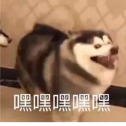 无人能拒我龙傲天