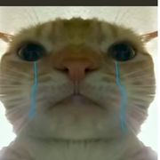 User744625896