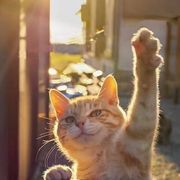 今朝有酒今朝醉