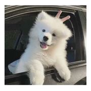 手机用户52081700