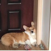 今天同比增长15%了吗