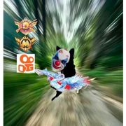 鼠鼠