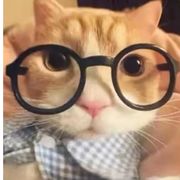 By川鹤