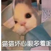 木