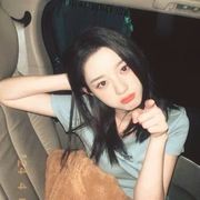 黄杨硕鼠