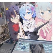 二次元武哥