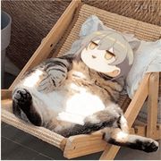 小懒猫