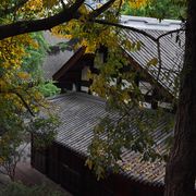 绀野彩夏