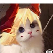 小信闻风而来