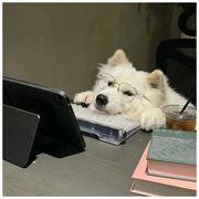 墨谁滴😝😎🤩😛1128