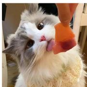 渭水