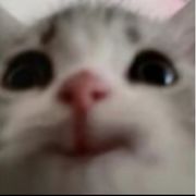 周  京  泽
