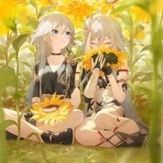 爱莉希雅