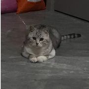 胡专一
