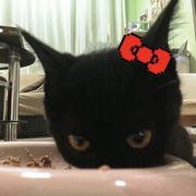 小點