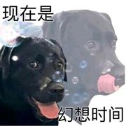 超市⭐の彡😼🐈