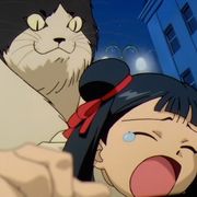 生命中的精灵