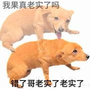辞枝