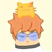 FY.枫叶