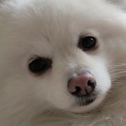 QQ用户9025706