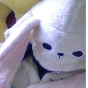 初夏夜