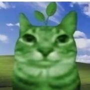 忘~