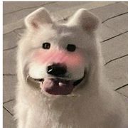 梦寐以求