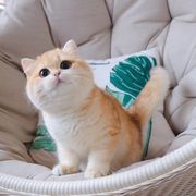Pi!nk