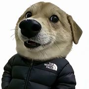 烛九明