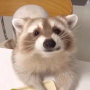不锈钢