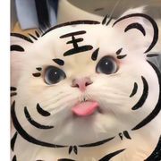 夜听风