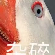 如月晴人