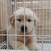 过往温柔