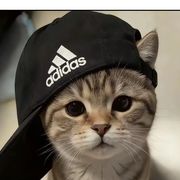 茗