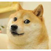 哄哄