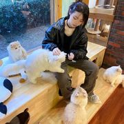想念紫藤花