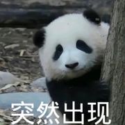 成和花花
