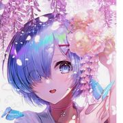 雨楼清歌