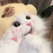 蔺伊