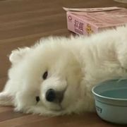 星辰大海