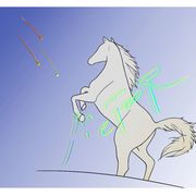 流星白马工作室
