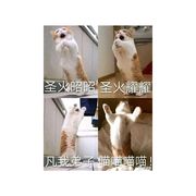 落雨知清辰